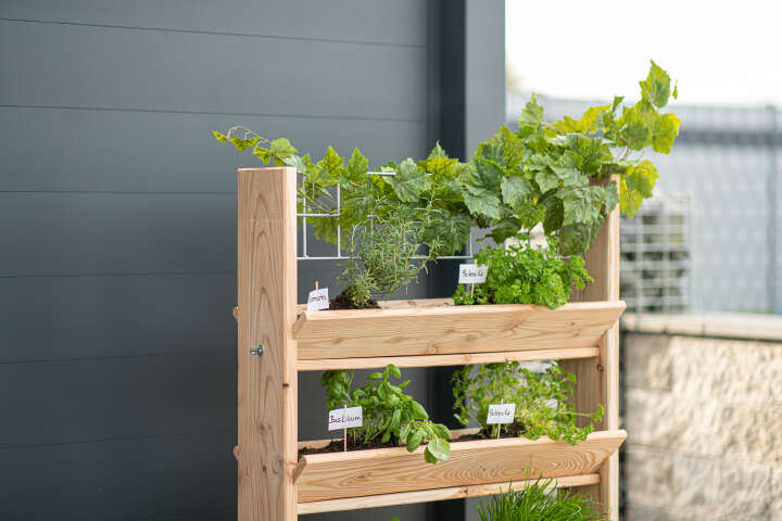 WESTMANN Kräuterregal Viktoria L